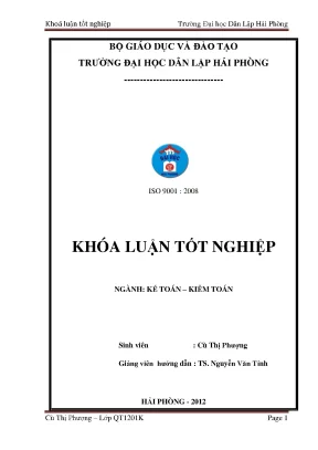 Hoàn thiện công tác kế toán doanh thu chi phí và xác định kết quả kinh doanh tại công ty tnhh thương mại và đầu tư đông nam á