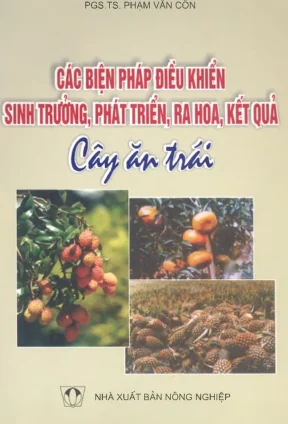 Các biện pháp điều kiển sinh trưởng phát triển ra hoa kết quả cây ăn trái