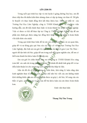 Nghiên cứu công tác kế toán nguyên vật liệu và công cụ dụng cụ tại công ty tnhh khánh hòa