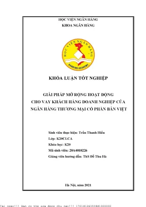 Giải pháp mở rộng hoạt động cho vay đối với khách hàng doanh nghiệp của ngân hàng bản việt