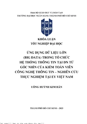 Ứng dụng dữ liệu lớn big data trong tổ chức hệ thống thông tin tại doanh nghiệp từ góc nhìn của kiểm toán viên công nghệ thông tin nghiên cứu thực nghiệm tại ey việt nam 2023