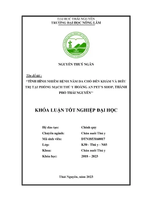 Tình hình nhiễm bệnh nấm da chó đến khám và điều trị tại phòng khám thú y hoàng an pets shop thành phố thái nguyên