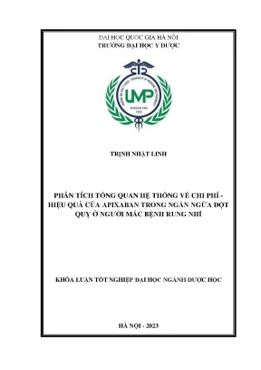 Khóa luận phân tích tổng quan hệ thống về chi phí hiệu quả của apixaban trong ngăn ngừa đột quỵ ở người mắc bệnh rung nhĩ