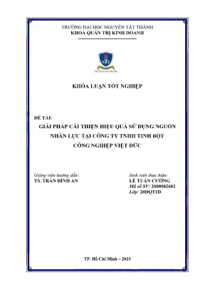 Giải pháp cải thiện hiệu quả sử dụng nguồn nhân lực tại công ty tnhh tinh bột công nghiệp việt đức