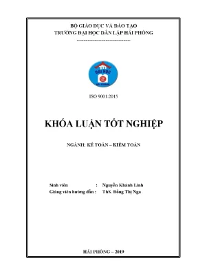 Hoàn thiện công tác kế toán doanh thu chi phí và xác định kết quả kinh doanh tại công ty tnhh thương mại ctnex