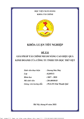 Giải pháp tài chính nhằm nâng cao hiệu quả kinh doanh của công ty tnhh tin học trí việt