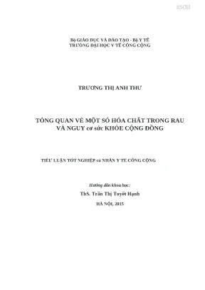 Luận văn tổng quan về một số hóa chất trong rau và nguy cơ sức khỏe cộng đồng