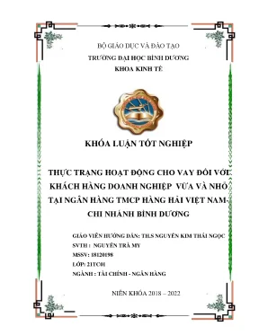 Thực trạng hoạt động cho vay đối với khách hàng doanh nghiệp vừa và nhỏ tại ngân hàng tmcp hàng việt nam chi nhánh bình dương