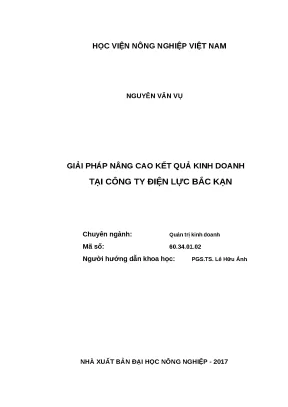 Luận văn thạc sĩ giải pháp nâng cao kết quả kinh doanh tại công ty điện lực bắc kạn