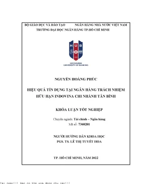 Hiệu quả tín dụng tại ngân hàng tnhh indovina chi nhánh tân bình 2022