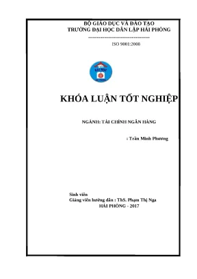 Luận văn hpu phân tích tình hình tài chính tại công ty tnhh đầu tư thương mại hoàng nam phát