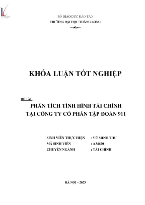 Phân tích tình hình tài chính tại công ty cổ phần tập đoàn 911