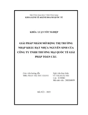 Giải pháp nhằm mở rộng thị trường nhập khẩu hạt nhựa nguyên sinh của công ty tnhh thương mại quốc tế giải pháp toàn cầu