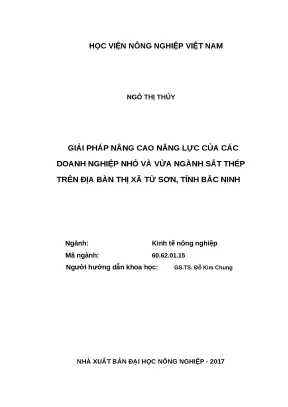 Luận văn thạc sĩ giải pháp nâng cao năng lực của các doanh nghiệp nhỏ và vừa ngành sắt thép trên địa bàn thị xã từ sơn tỉnh bắc ninh