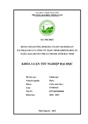 Bệnh viêm đường sinh dục ở lợn nái sinh sản tại trại lợn của công ty ngọc minh greenfarm xã nghĩa đạo huyện thuận thành tỉnh bắc ninh