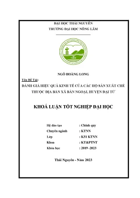 Đánh giá hiệu quả kinh tế của các hộ sản xuất chè thuộc địa bàn xã bản ngoại huyện đại từ