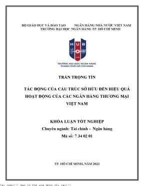 Tác động của cấu trúc sở hữu đến hiệu quả hoạt động của các ngân hàng thương mại việt nam 2023