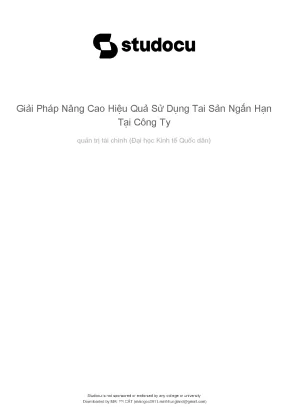 Giải pháp nâng cao hiệu quả sử dụng tai sản ngắn hạn tại công ty