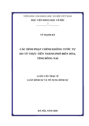 Luận văn thạc sĩ các hình phạt chính không tước tự do từ thực tiễn thành phố biên hòa tỉnh đồng nai