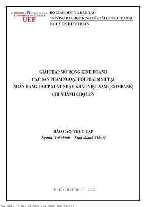 Giải pháp mở rộng kinh doanh các sản phẩm ngoại hối phái sinh tại ngân hàng tmcp xuất nhập khẩu việt nam eximbank chi nhánh chợ lớn