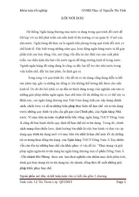 Thực trạng và giải pháp ngăn ngừa rủi ro tín dụng tại ngân hàng thương mại cổ phần đông nam á chi nhánh hải phòng