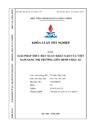 Giải pháp thúc đẩy xuất khẩu gạo của việt nam sang thị trường liên minh châu âu