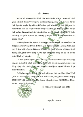 Nghiên cứu công tác quản trị nhân lực tại công ty tnhh mtv lâm nghiệp cẩm phả quảng ninh