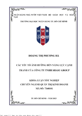 Các yếu tố ảnh hưởng đến năng lực cạnh tranh của công ty tnhh shasu group 2023