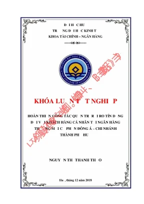 Hoàn thiện công tác quản trị rủi ro tín dụng đối với khách hàng cá nhân tại ngân hàng thương mại cổ phần đông á chi nhánh thành phố huế