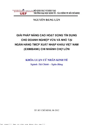 Giải pháp nâng cao hoạt động tín dụng cho doanh nghiệp vừa và nhỏ tại ngân hàng thương mại cổ phần xuất nhập khẩu việt nam eximbank chi nhánh chợ lớn