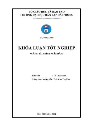 Giải pháp nâng cao hiệu quả chất lượng tín dụng tại ngân hàng thương mại cổ phần sài gòn thương tín chi nhánh hải phòng