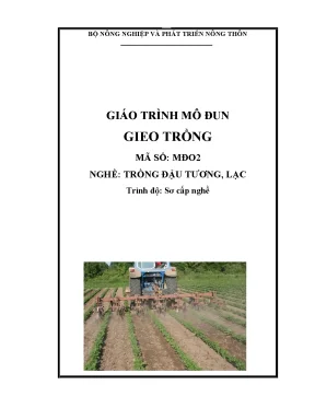 Giáo trình gieo trồng đậu tương lạc