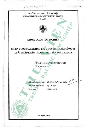 Chiến lược marketing trực truyến trong công ty xuất nhập khẩu thương mại sản xuất komex