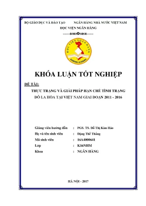Thực trạng và giải pháp hạn chế tình trạng đô la hóa tại việt nam giai đoạn 2011 2016