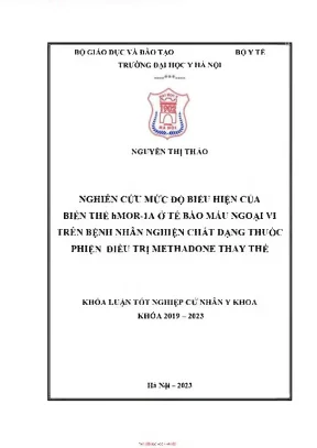Nghiên cứu mức độ biểu hiện của biến thể hmor 1a ở tế bào máu ngoại vi trên bệnh nhân nghiện chất dạng thuốc phiện điều trị mathadone thay thế