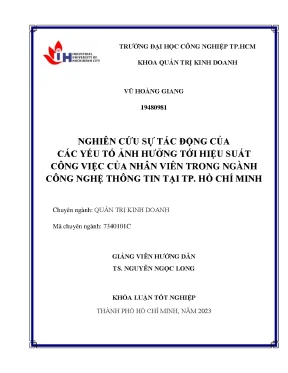 Nghiên cứu sự tác động của các yếu tố ảnh hưởng tới hiệu suất công việc của nhân viên trong ngành công nghệ thông tin tại thành phố hồ chí minh