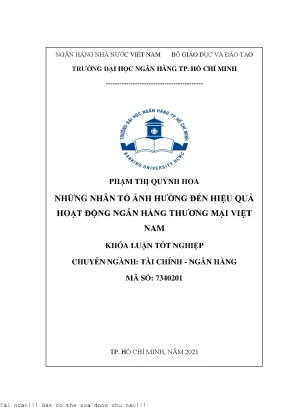 Những nhân tố ảnh hưởng đến hiệu quả hoạt động ngân hàng thương mại việt nam 2021