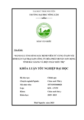 Đánh giá tình hình mắc bệnh viêm tử cung ở lợn nái sinh sản tại trại lợn công ty hòa phát huyện sơn động tỉnh bắc giang và biện pháp điều trị