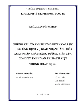 Những yếu tố ảnh hưởng đến năng lực cung ứng dịch vụ giao nhận hàng hóa xuất nhập khẩu bằng đường biển của công ty tnhh vận tải bách việt trong hoạt động