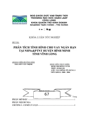 Phân tích tình hình cho vay ngắn hạn tại huyện bình minh