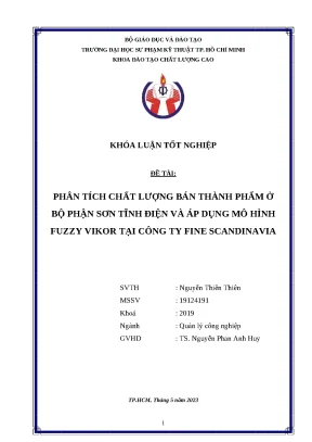 Khóa luận tốt nghiệp phân tích chất lượng bán thành phẩm ở bộ phận sơn tĩnh điện và áp dụng mô hình fuzzy vikor tại công ty fine scandinavia