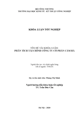 Phân tích tài chính công ty cổ phần cẩm hà