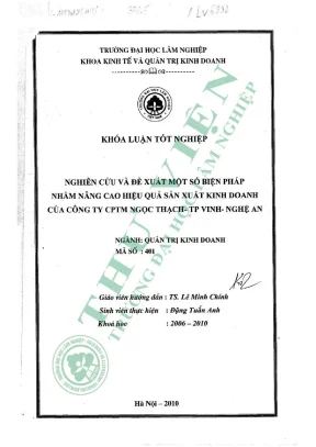 Nghiên cứu và đề xuất một số biện pháp nhằm nâng cao hiệu quả sản xuất kinh doanh của công ty cptm ngọc thạch tp vinh nghệ an