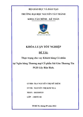 Thực trạng cho vay khách hàng cá nhân tại ngân hàng thương mại cp sài gòn thương tín pgd lũy bán bích