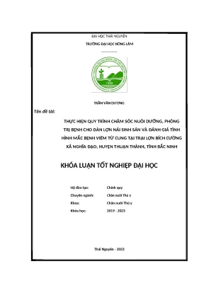 Luận văn thực hiện quy trình chăm sóc nuôi dưỡng phòng trị bệnh cho đàn lợn nái sinh sản và đánh giá tình hình mắc bệnh viêm tử cung tại trại lợn bích cường xã nghĩa đạo