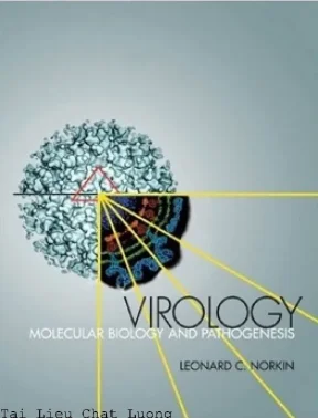 Virology molecular biology and pathogenesis