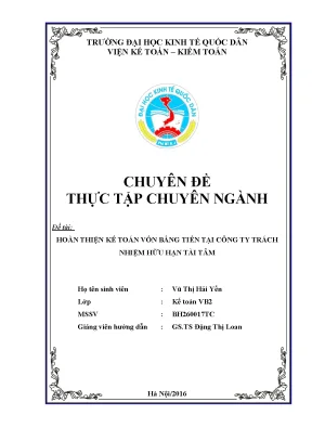 Hoàn thiện kế toán vốn bằng tiền tại công ty trách nhiệm hữu hạn tài tâm