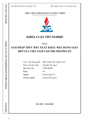 Giải pháp thúc đẩy xuất khẩu mặt hàng giày dép của việt nam vào thị trường eu