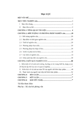 Luận văn đánh giá tình hình thực hiện vệ sinh an toàn thực phẩm tại các bếp ăn tập thể huyện gia lâm trước và sau khi áp dụng giải pháp can thiệp