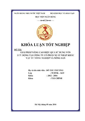 Giải pháp nâng cao hiệu quả sử dụng vốn lưu động tại công ty cổ phần xuất nhập khẩu vật tư nông nghiệp và nông sản